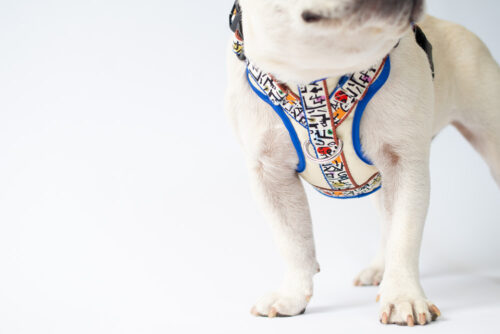 transform harness VEST【SKETCH】 - 画像 (6)