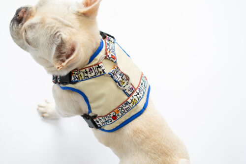 transform harness VEST【SKETCH】 - 画像 (10)