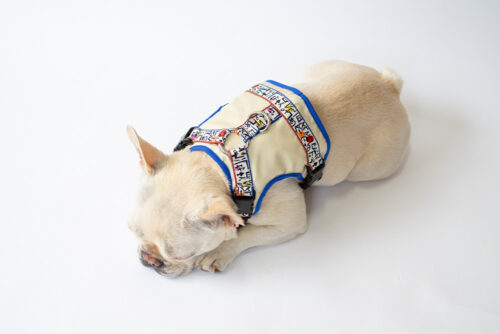 transform harness VEST【SKETCH】 - 画像 (7)