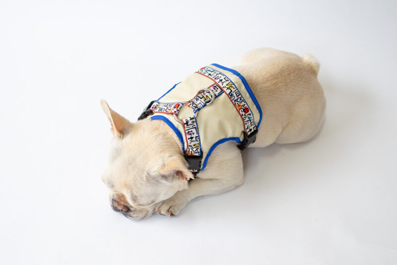 transform harness VEST【SKETCH】 - 画像 (7)