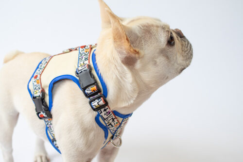 transform harness VEST【SKETCH】 - 画像 (9)