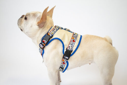 transform harness VEST【SKETCH】 - 画像 (8)