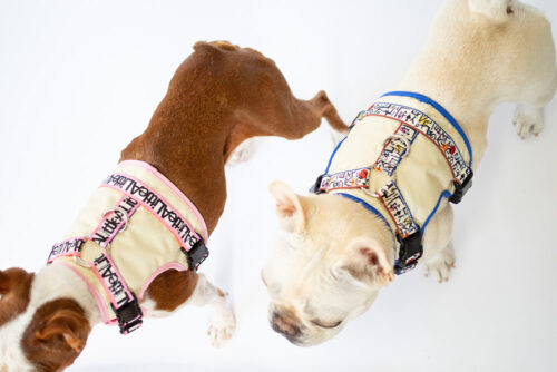 transform harness VEST【Frame】 - 画像 (4)