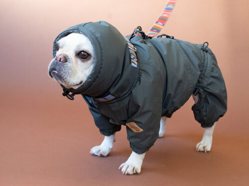 SNOW SUIT【CCL】 - 画像 (5)