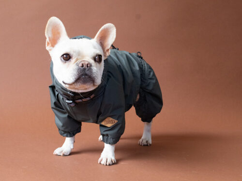 SNOW SUIT【CCL】 - 画像 (4)