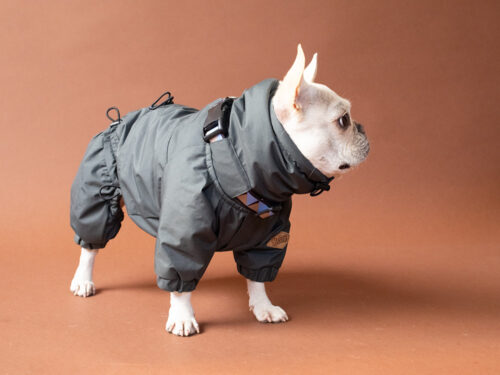 SNOW SUIT【CCL】 - 画像 (2)