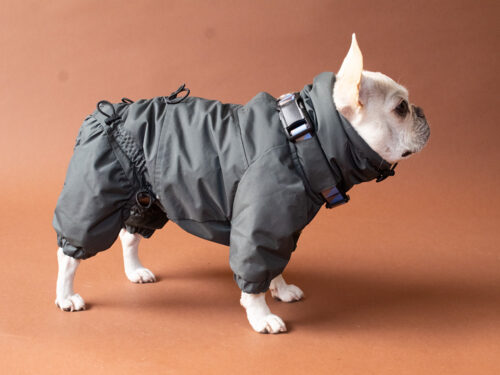 SNOW SUIT【CCL】 - 画像 (3)
