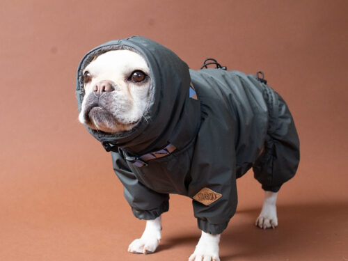 SNOW SUIT【CCL】