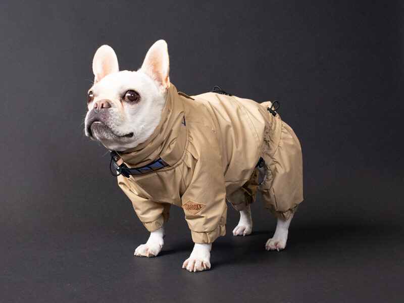 SNOW SUIT【TAN】 - 画像 (6)