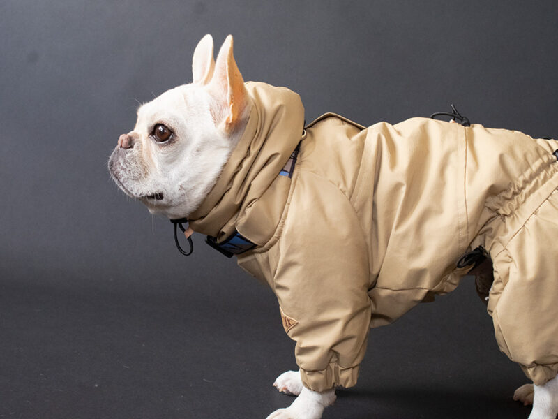 SNOW SUIT【TAN】