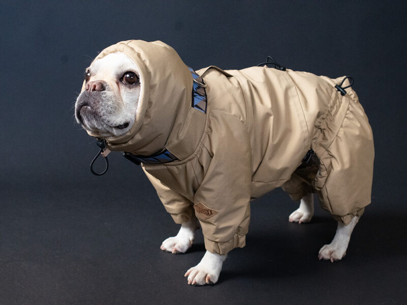 SNOW SUIT【TAN】 - 画像 (3)