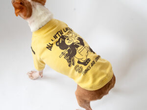 MARC TEE【MSTD】