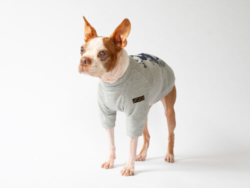 MARC TEE【GRY】 - 画像 (3)