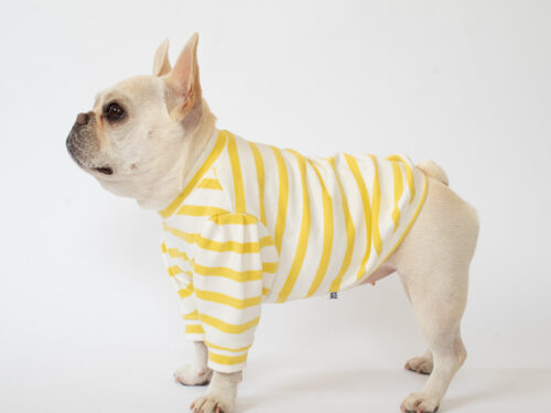 ショルダータックボーダーTEE【LEMON】 - 画像 (3)