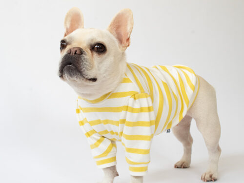 ショルダータックボーダーTEE【LEMON】 - 画像 (4)