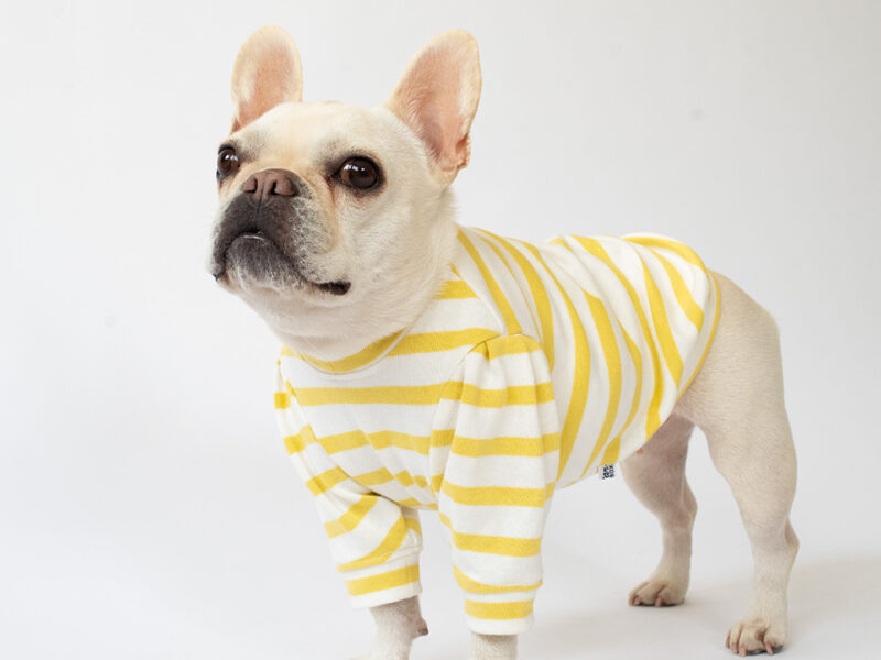 ショルダータックボーダーTEE【LEMON】 - 画像 (4)