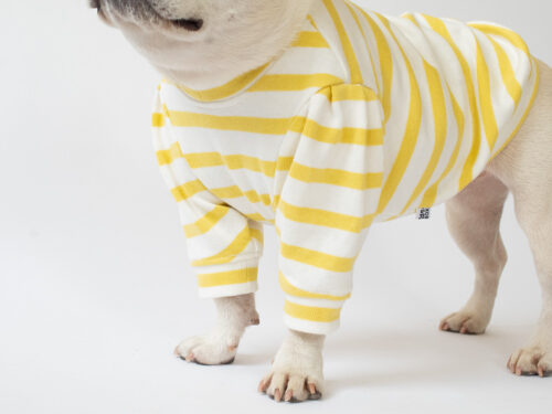 ショルダータックボーダーTEE【LEMON】 - 画像 (5)
