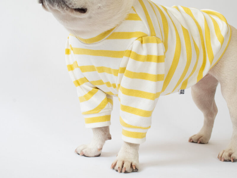ショルダータックボーダーTEE【LEMON】 - 画像 (5)