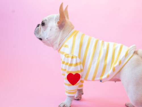 ショルダータックボーダーTEE【LEMON】
