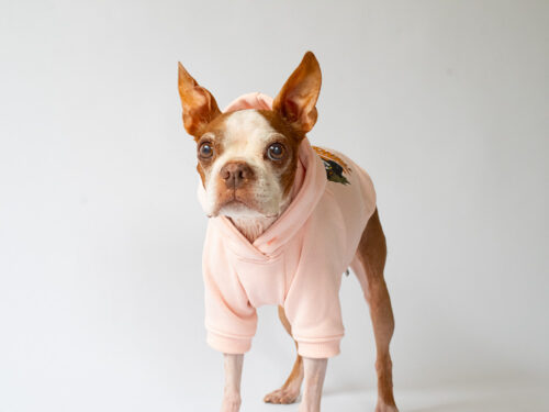 Custom PARKA【PINK】 - 画像 (6)