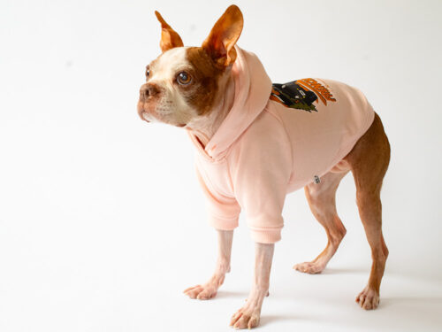 Custom PARKA【PINK】 - 画像 (5)