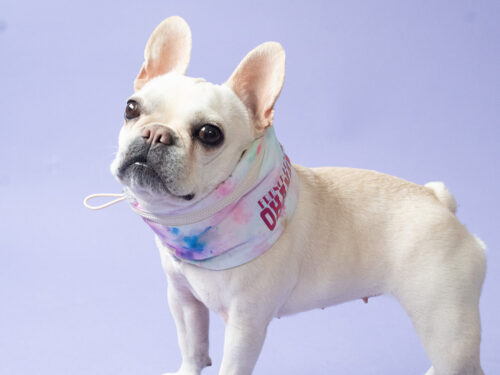 SWIM snood - 画像 (6)