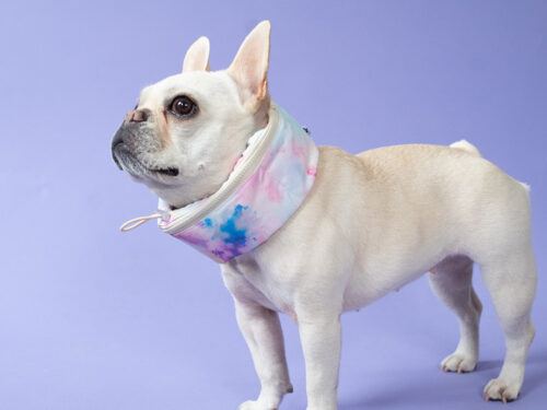 SWIM snood - 画像 (3)
