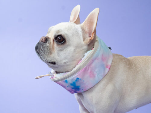 SWIM snood - 画像 (2)