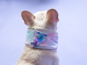SWIM snood