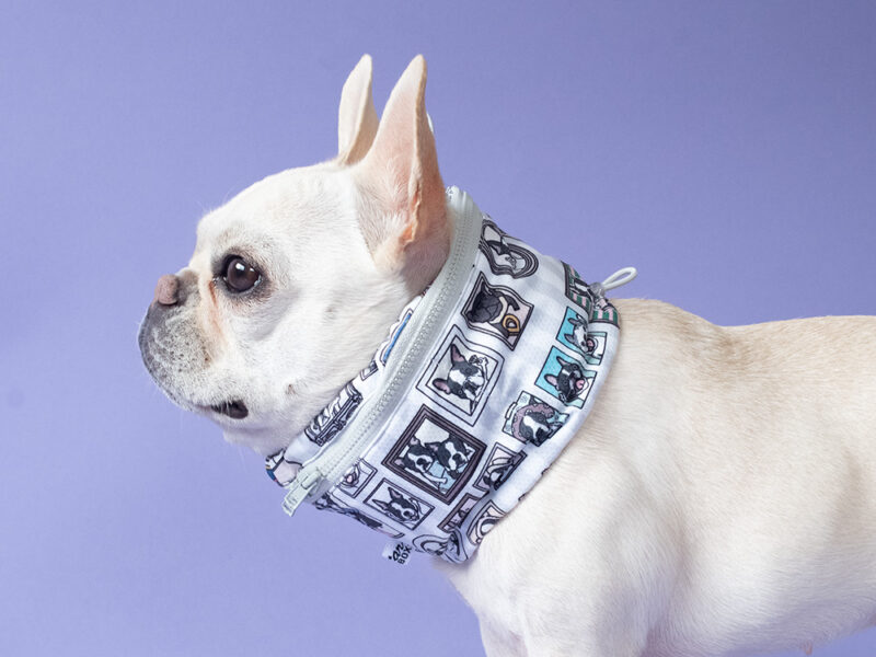 【WALL】WMB snood