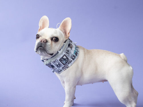 WMB snood - 画像 (2)