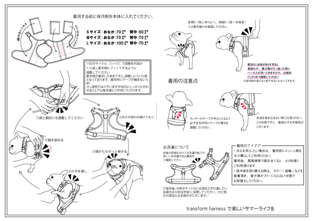Transform Herness【Hazel】 - 画像 (20)
