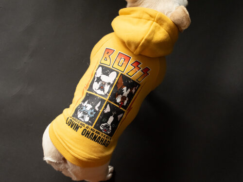 Custom BAND Parka - 画像 (6)