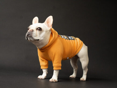 Custom BAND Parka - 画像 (13)