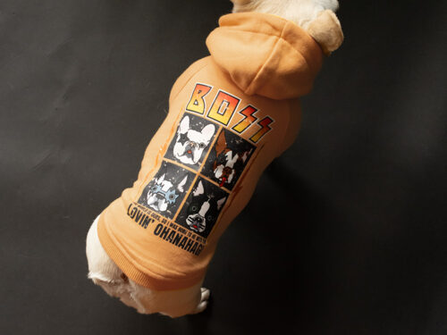 Custom BAND Parka - 画像 (14)