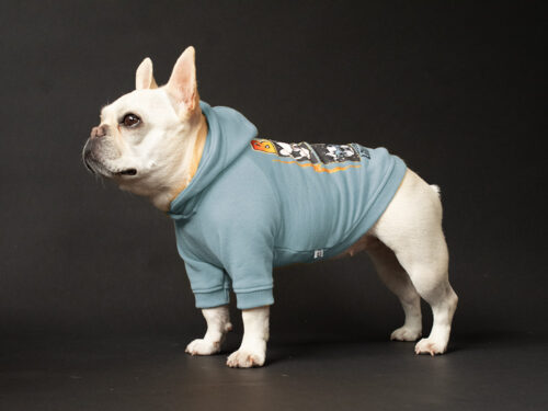 Custom BAND Parka - 画像 (7)