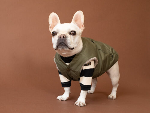 FIELD SUPPLY VEST【KHK】 - 画像 (7)