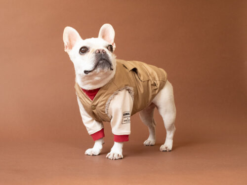 FIELD SUPPLY VEST【SAND】 - 画像 (4)
