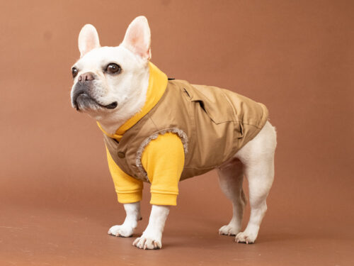 FIELD SUPPLY VEST【SAND】 - 画像 (2)