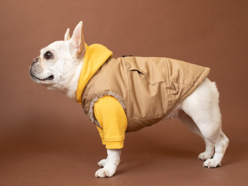 FIELD SUPPLY VEST【SAND】 - 画像 (3)
