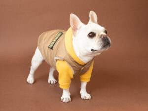 FIELD SUPPLY VEST【SAND】