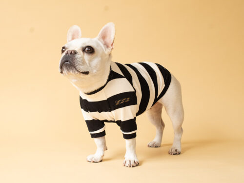 BASIC BORDER TEE【BLACK*KINARI】 - 画像 (7)