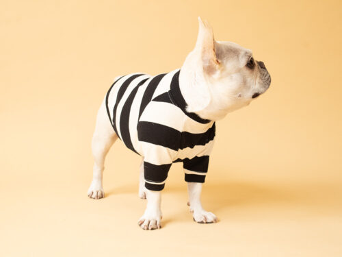 BASIC BORDER TEE【BLACK*KINARI】 - 画像 (6)
