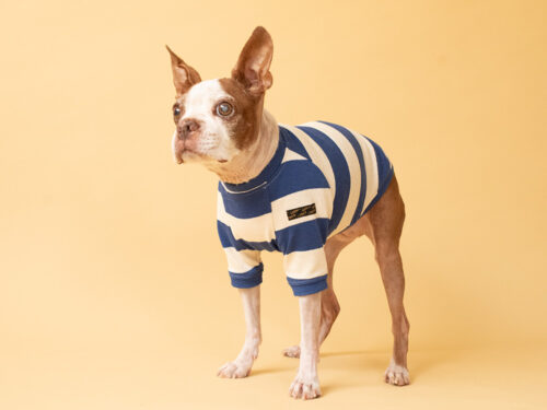 BASIC BORDER TEE【BLUE*KINARI】 - 画像 (3)