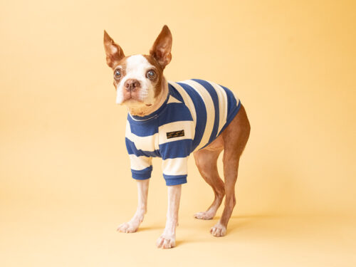 BASIC BORDER TEE【BLUE*KINARI】 - 画像 (7)