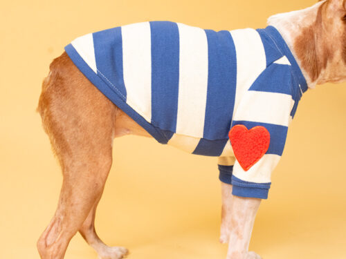 BASIC BORDER TEE【BLUE*KINARI】 - 画像 (6)