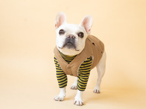 FIELD SUPPLY VEST【SAND】 - 画像 (8)