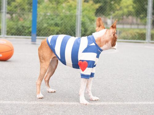 BASIC BORDER TEE【BLUE*KINARI】