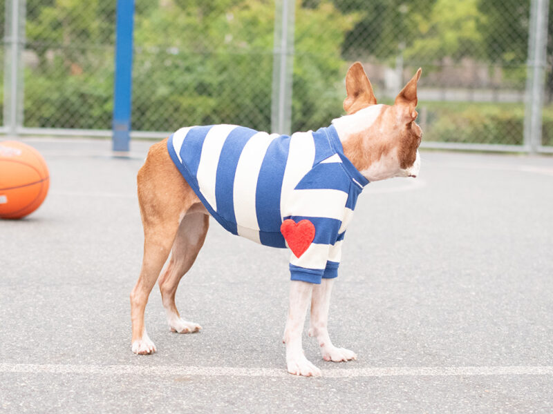 BASIC BORDER TEE - 画像 (8)