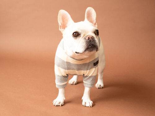 BASIC BORDER TEE【GRY*KINARI】